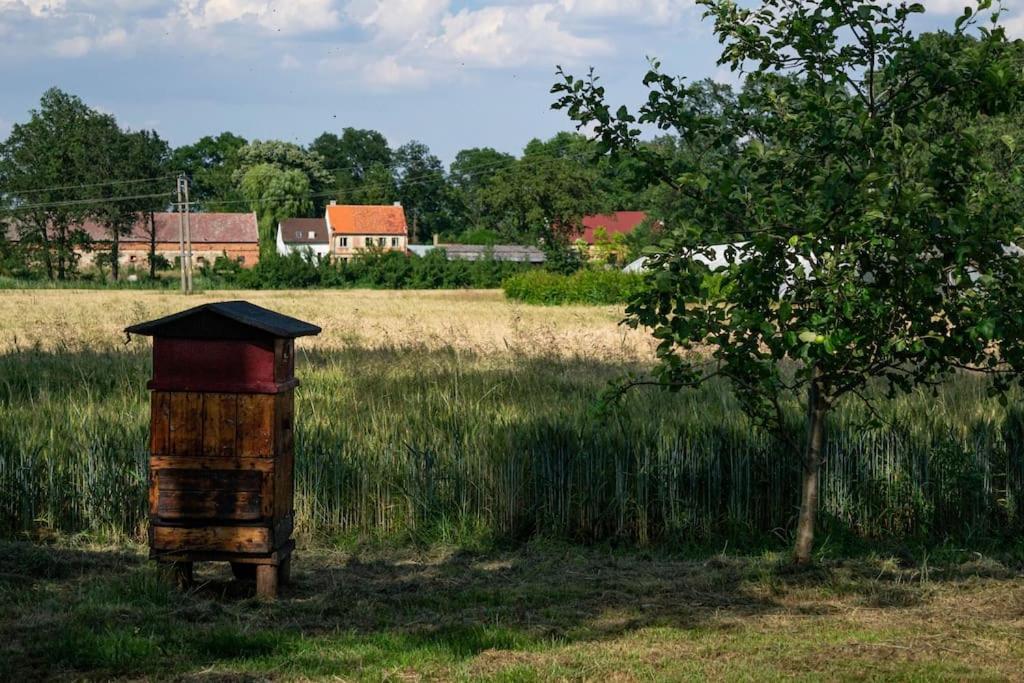 Agroturystyka Borow Prusice Exterior foto