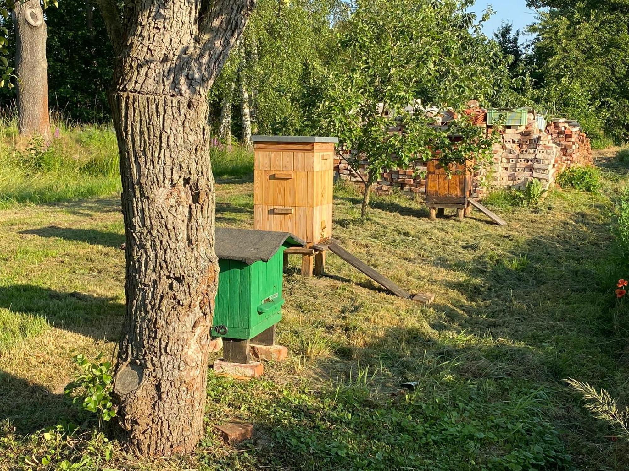 Agroturystyka Borow Prusice Exterior foto